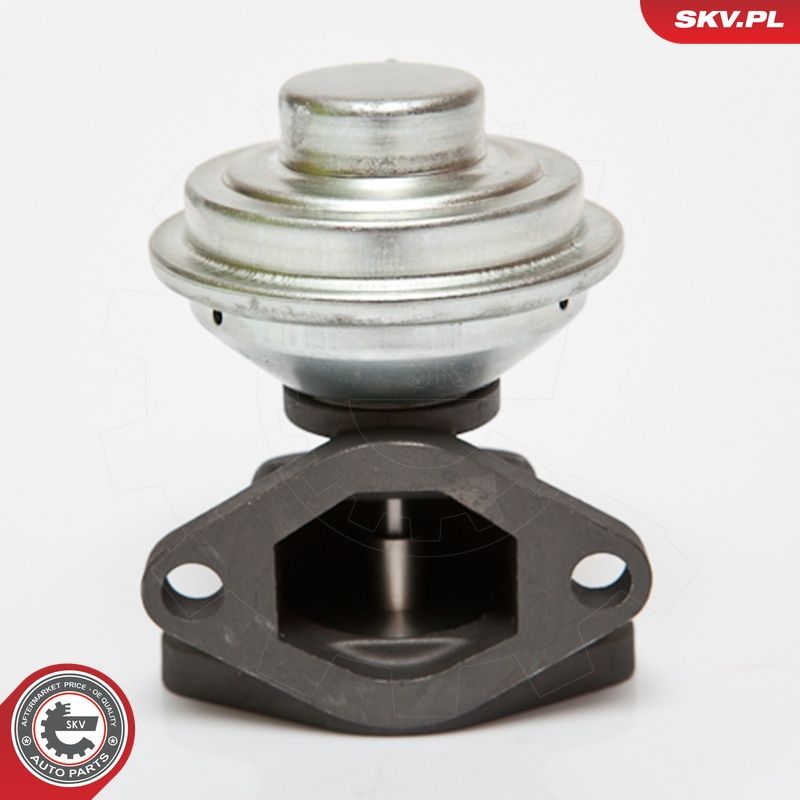 EGR-klapp, ESEN SKV 14SKV052