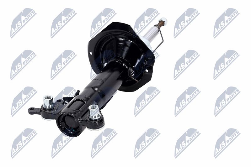 Amort, NTY A-NS-015