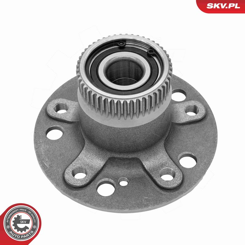 ESEN SKV 29SKV503 Wheel Bearing Kit