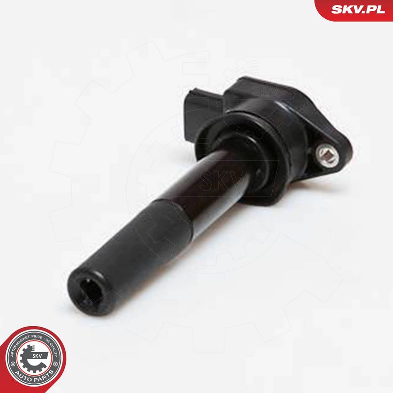 ESEN SKV 03SKV178 Ignition Coil
