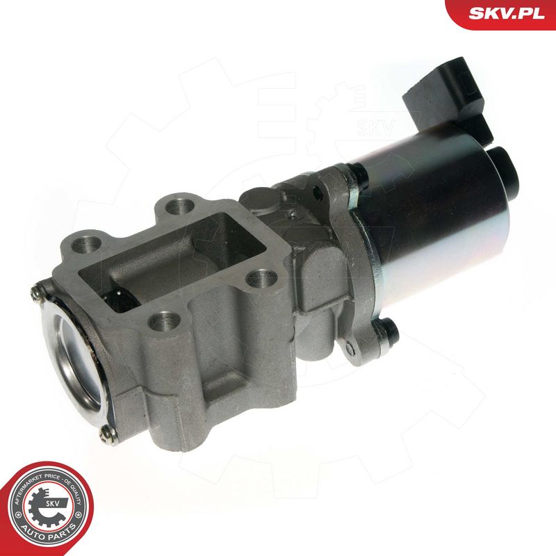 EGR-klapp, ESEN SKV 14SKV088