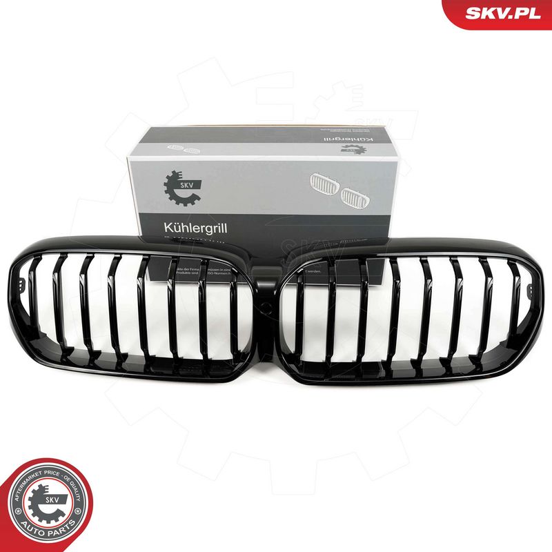 Radiaatorivõre, ESEN SKV 66SKV201