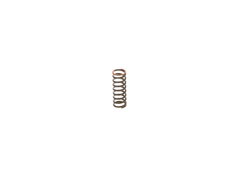 BOSCH 2444618009 Spring