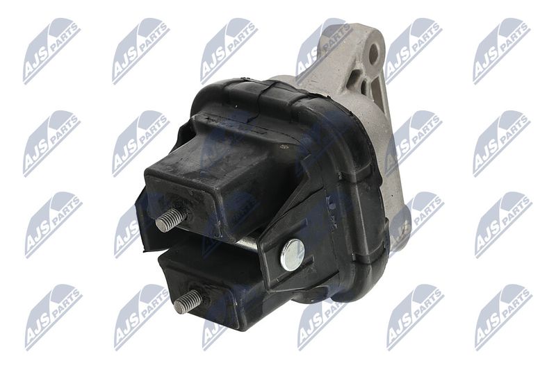 Paigutus, Mootor, NTY ZPS-CH-019