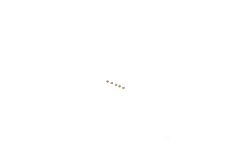 BOSCH F00ZC99750 Repair Kit, common rail system