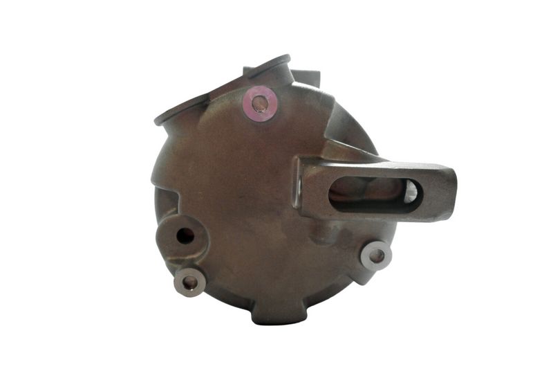 366203781_BACK_TD_1.JPG