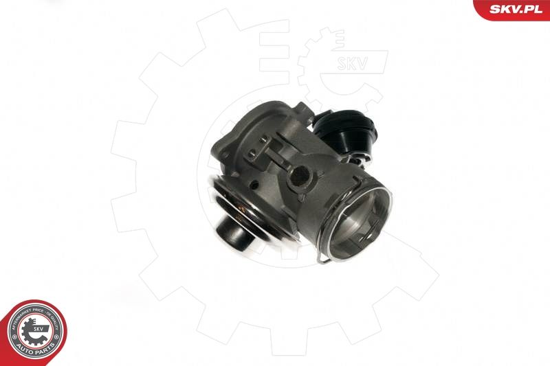 ESEN SKV 14SKV090 EGR Valve