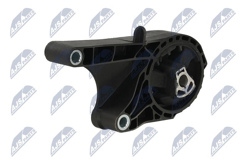 Paigutus, Mootor, NTY ZPS-PL-058