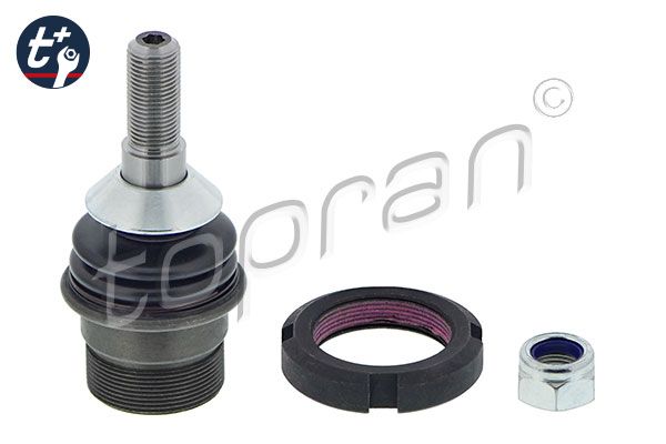 Kande-, juhtliigend, TOPRAN...