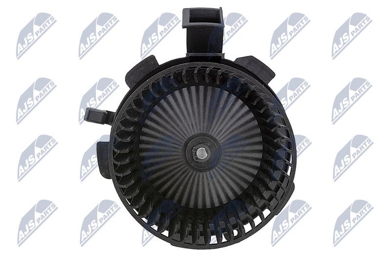 Salongipuhur, NTY EWN-ME-016