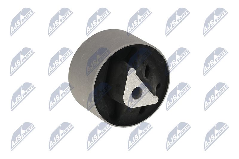 Paigutus, Mootor, NTY ZPS-CH-039