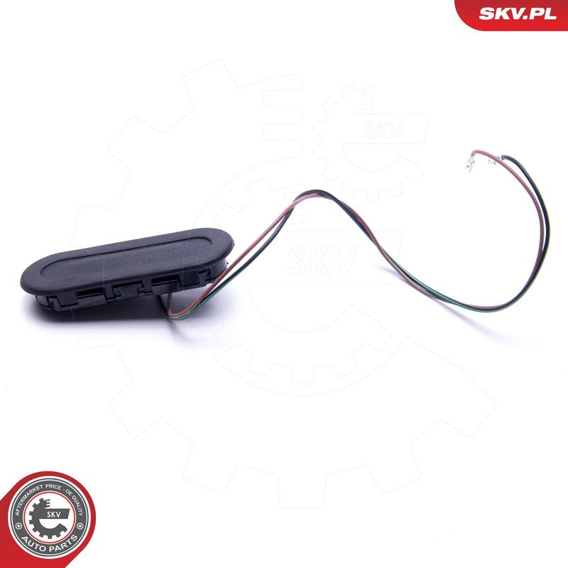 Tagaluugi sulgur, ESEN SKV...