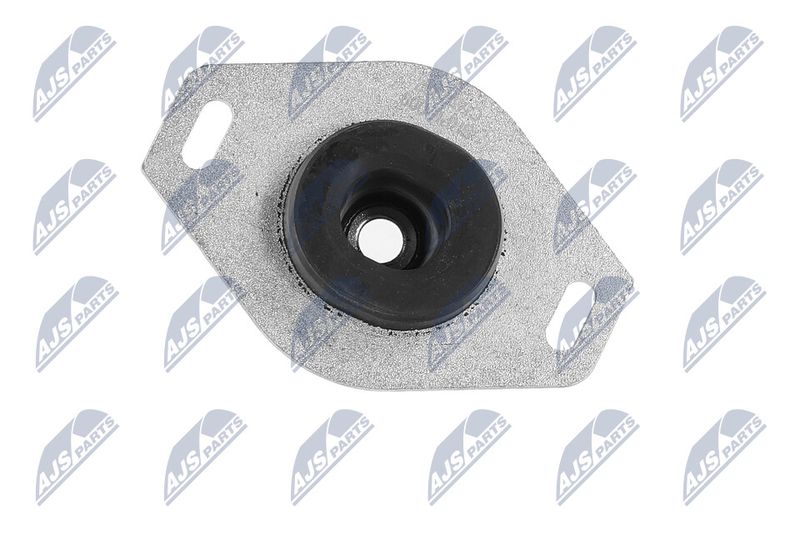 Paigutus, Mootor, NTY ZPS-PE-009