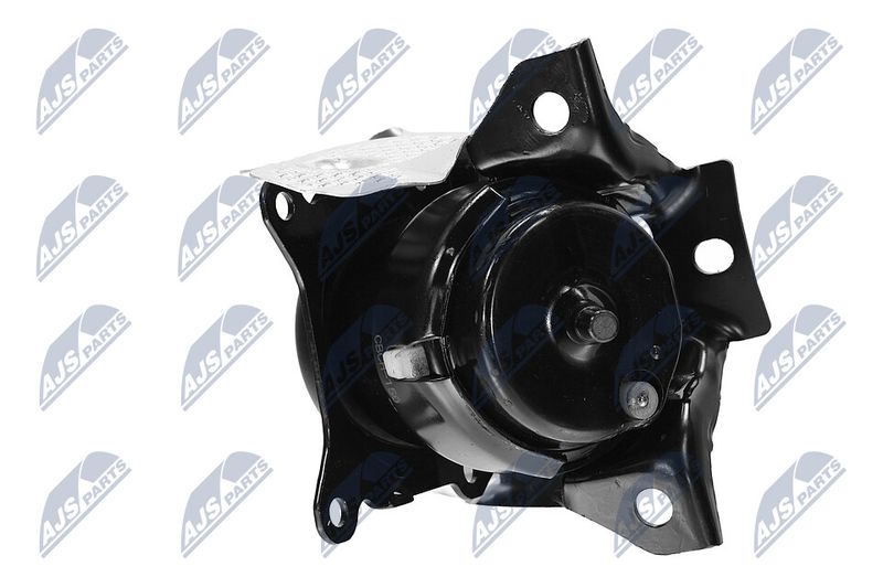 Paigutus, Mootor, NTY ZPS-CH-150