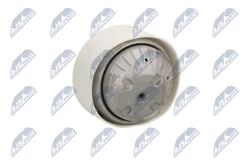 Paigutus, Mootor, NTY ZPS-ME-109