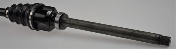 GKND12459C.JPG
