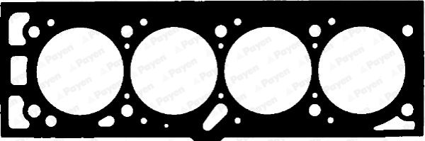 BM540_20339.JPG