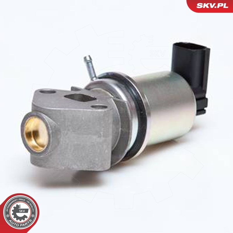 EGR-klapp, ESEN SKV 14SKV043