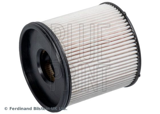 ADBP230048_2.JPG