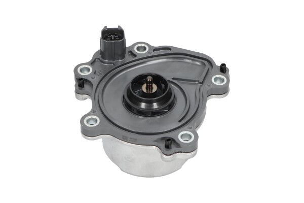 Kavo Parts TW-6002E - Water Pump, engine cooling