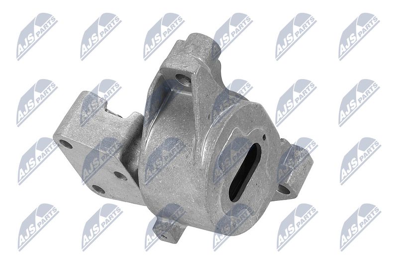 Paigutus, Mootor, NTY ZPS-PE-031