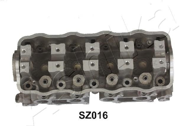 SZ016_5.JPG