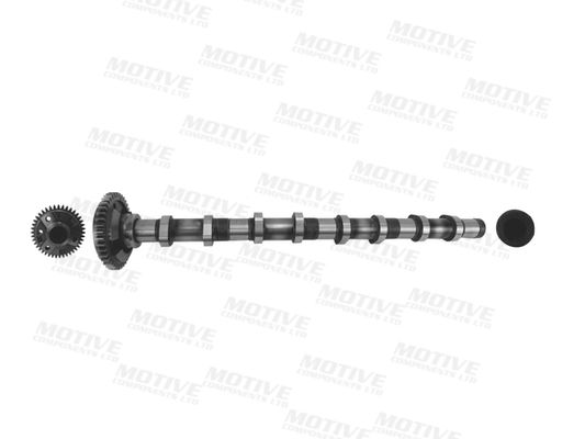MOTIVE T4341 Camshaft