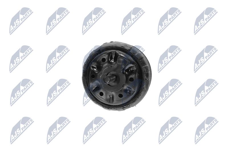 Paigutus, Mootor, NTY ZPS-CH-139