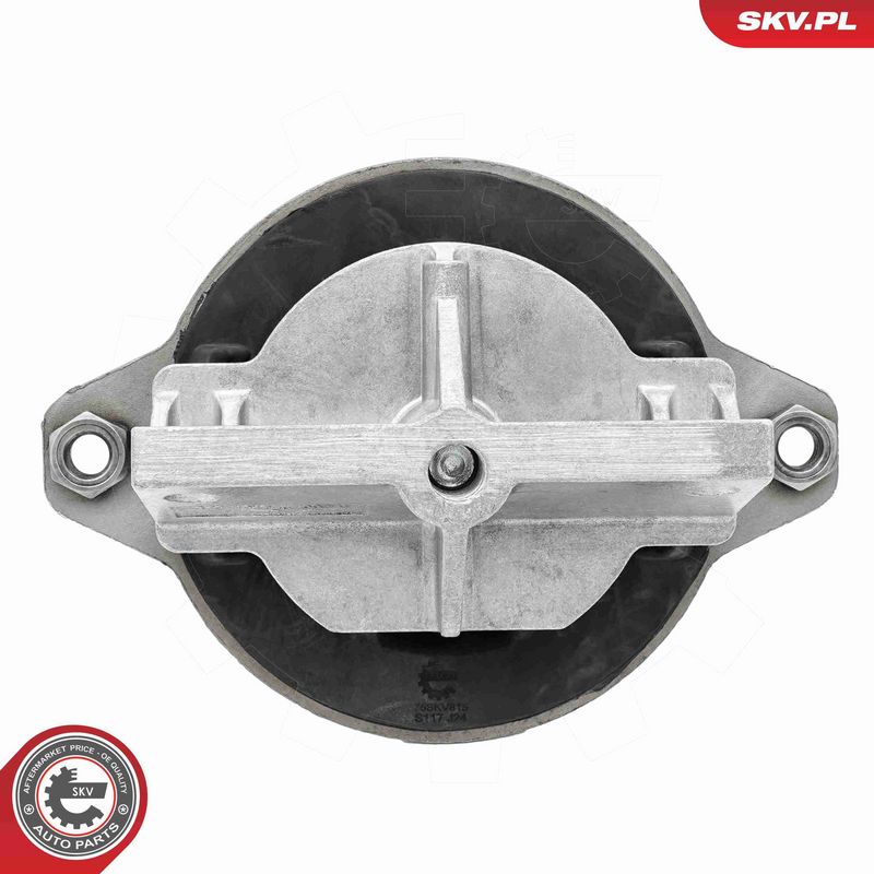 ESEN SKV 75SKV815 Automatinės pavarų dėžės pagalvė