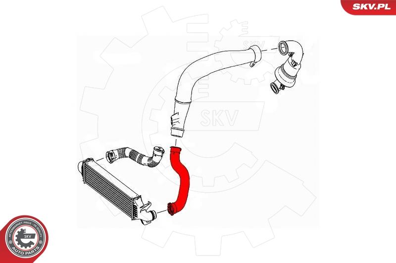 Шланг подачі наддувального повітря, Skv Germany 43SKV238