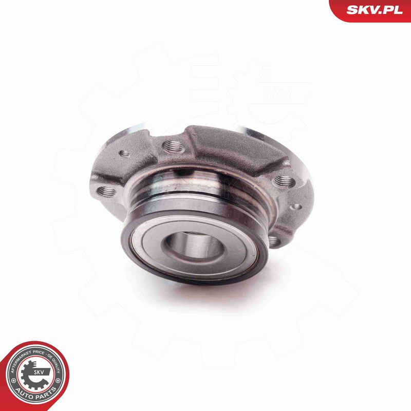 ESEN SKV 29SKV070 Wheel Bearing Kit