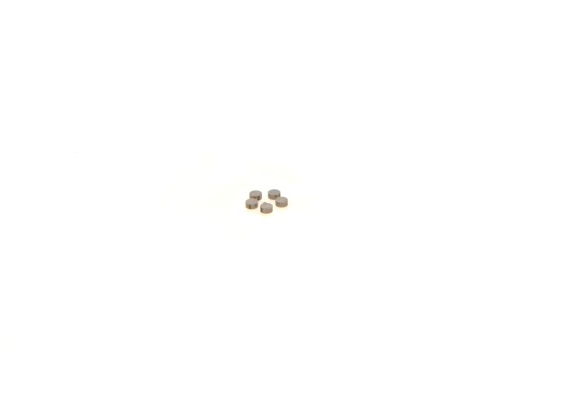 BOSCH 1410067231 Washer