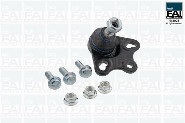 FAI AutoParts Šarnyras / girgždukas