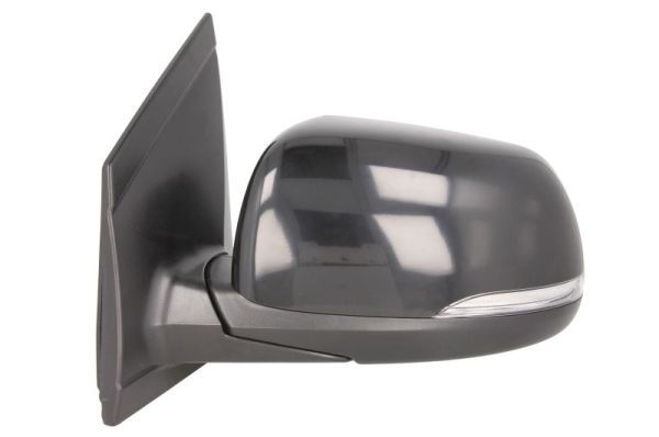 BLIC 5402-53-2001531P Exterior Mirror