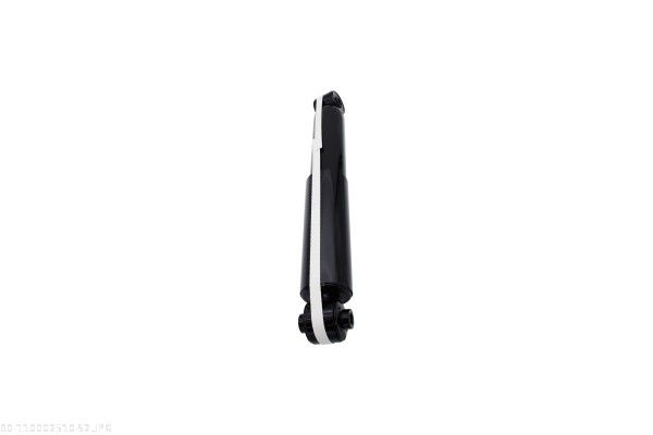 AUTOMEGA 110002510 Shock Absorber