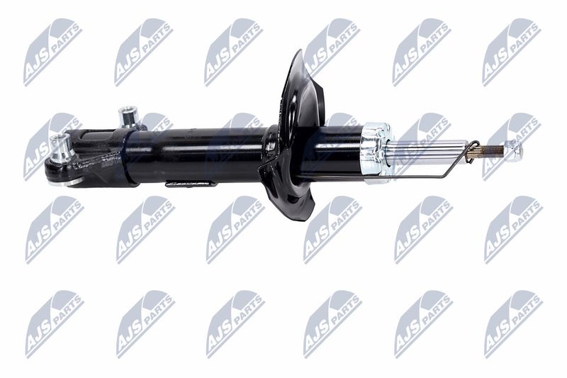 Amort, NTY A-NS-015