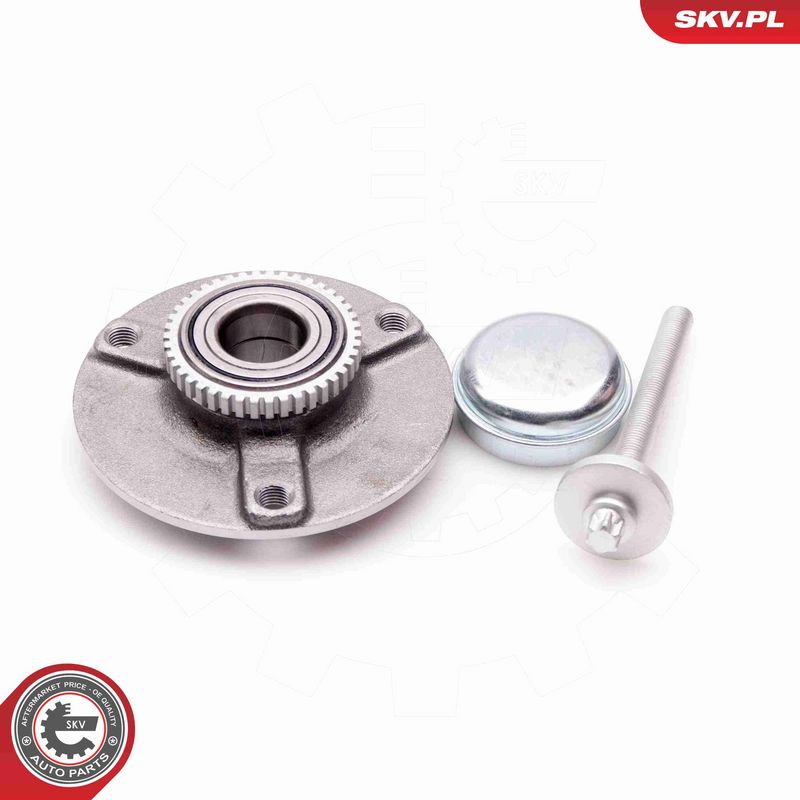 ESEN SKV 29SKV046 Wheel Bearing Kit