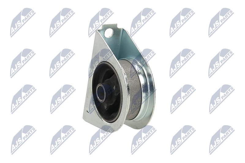 Paigutus, Mootor, NTY ZPS-MS-009