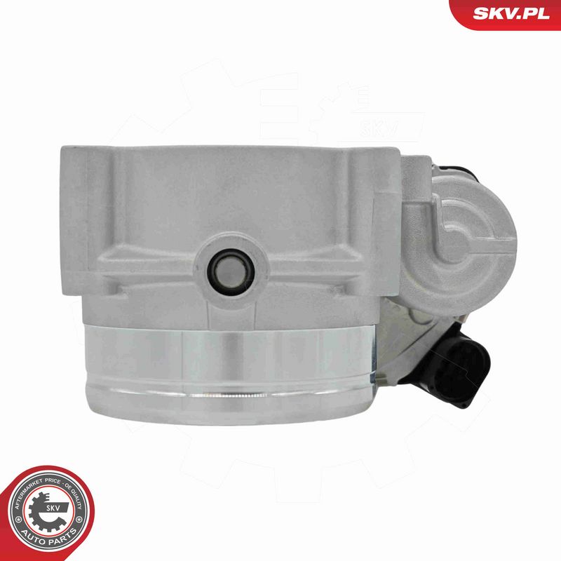 ESEN SKV 12SKV199 Throttle Body