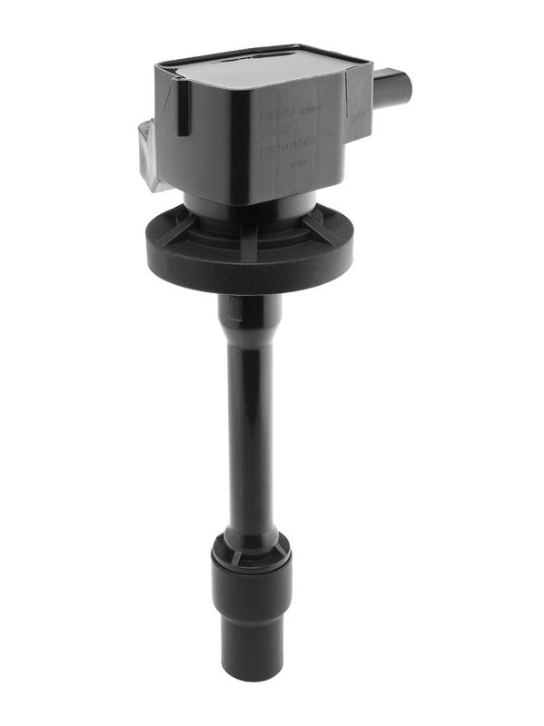 ZS637_02.JPG