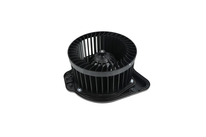 Salongipuhur, NRF 34136