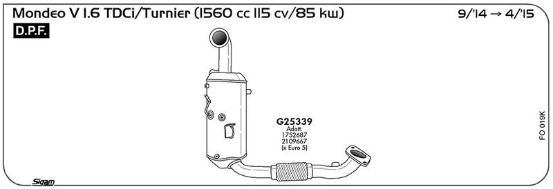 fo019k_1.JPG