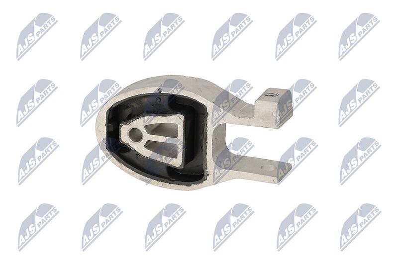 Paigutus, Mootor, NTY ZPS-FR-037