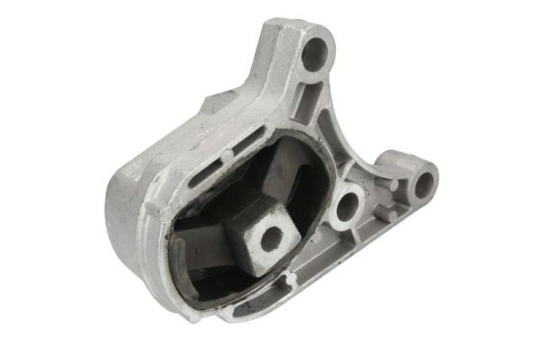 REINHOCH RH11-4031 Mounting, engine