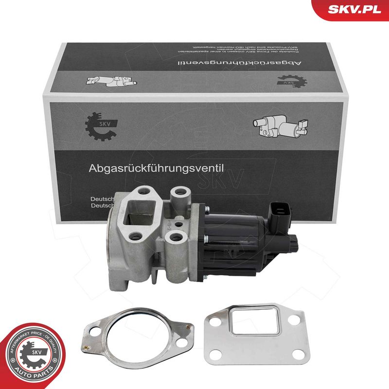 EGR-klapp, ESEN SKV 14SKV300