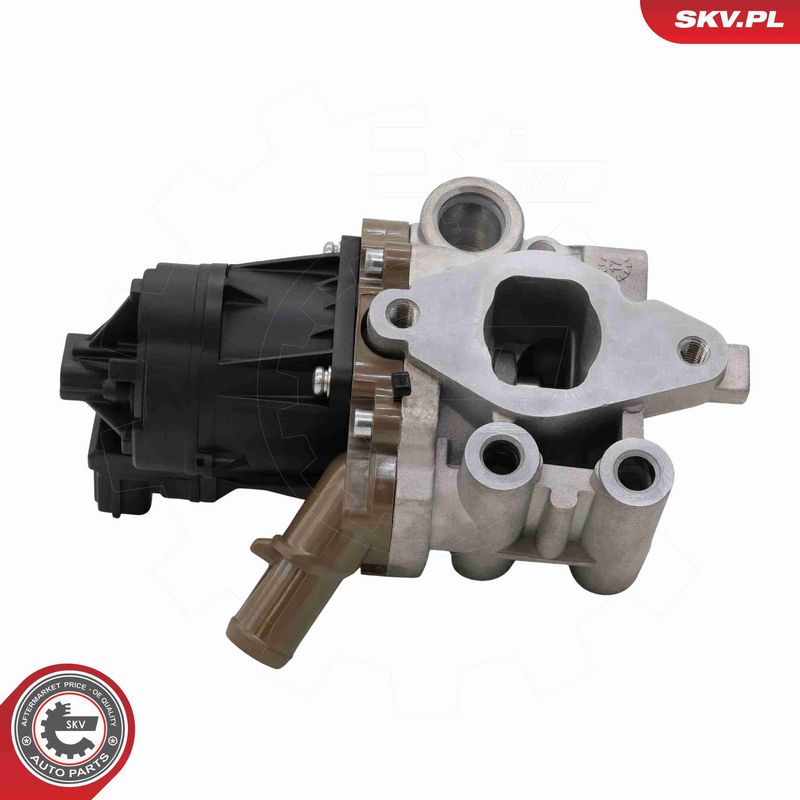 ESEN SKV 14SKV313 EGR Valve