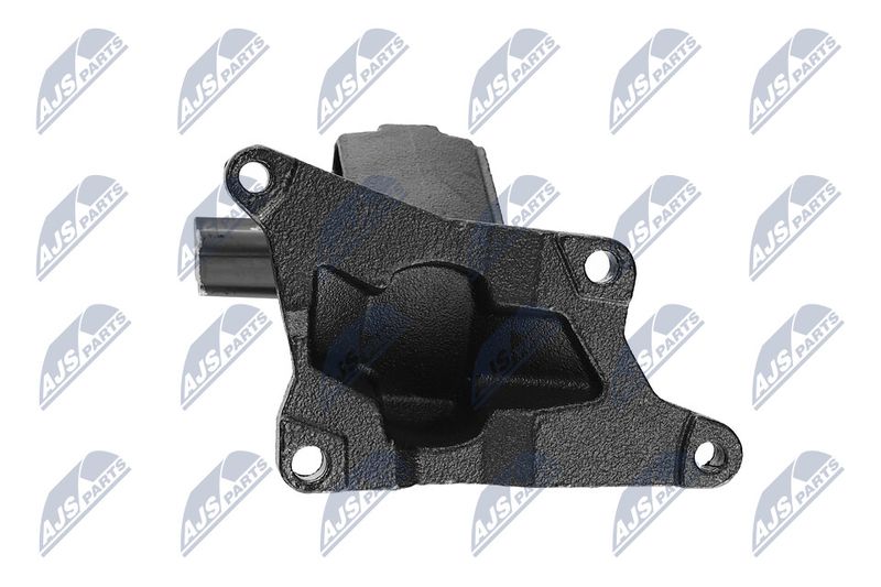 Paigutus, Mootor, NTY ZPS-CH-030