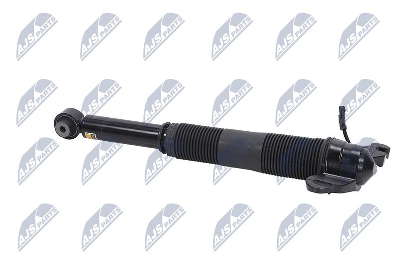 Amort, NTY A-LR-021