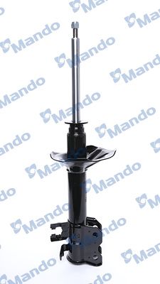 MSS015670B.JPG