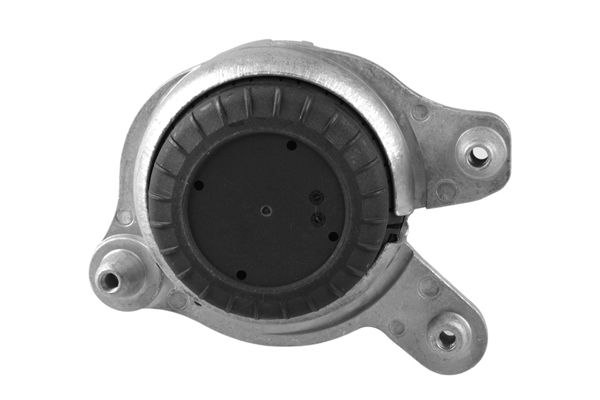 TEDGUM TED98110 Mounting, engine